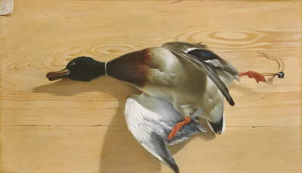 Un pato sobre una tabla de pino, 1753